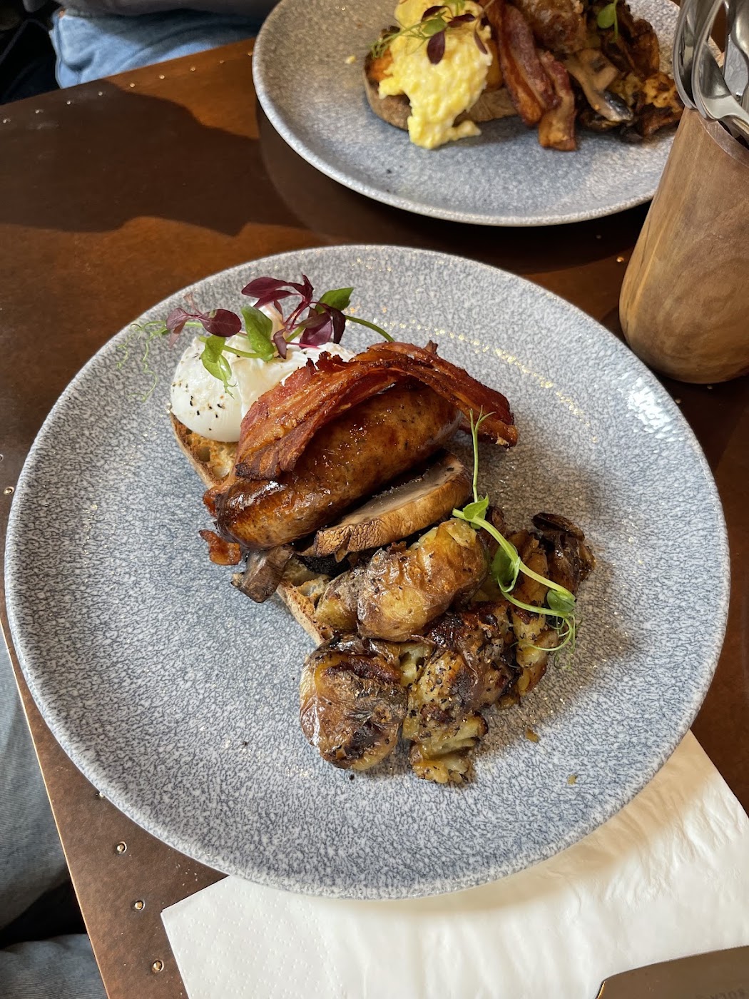 House dish